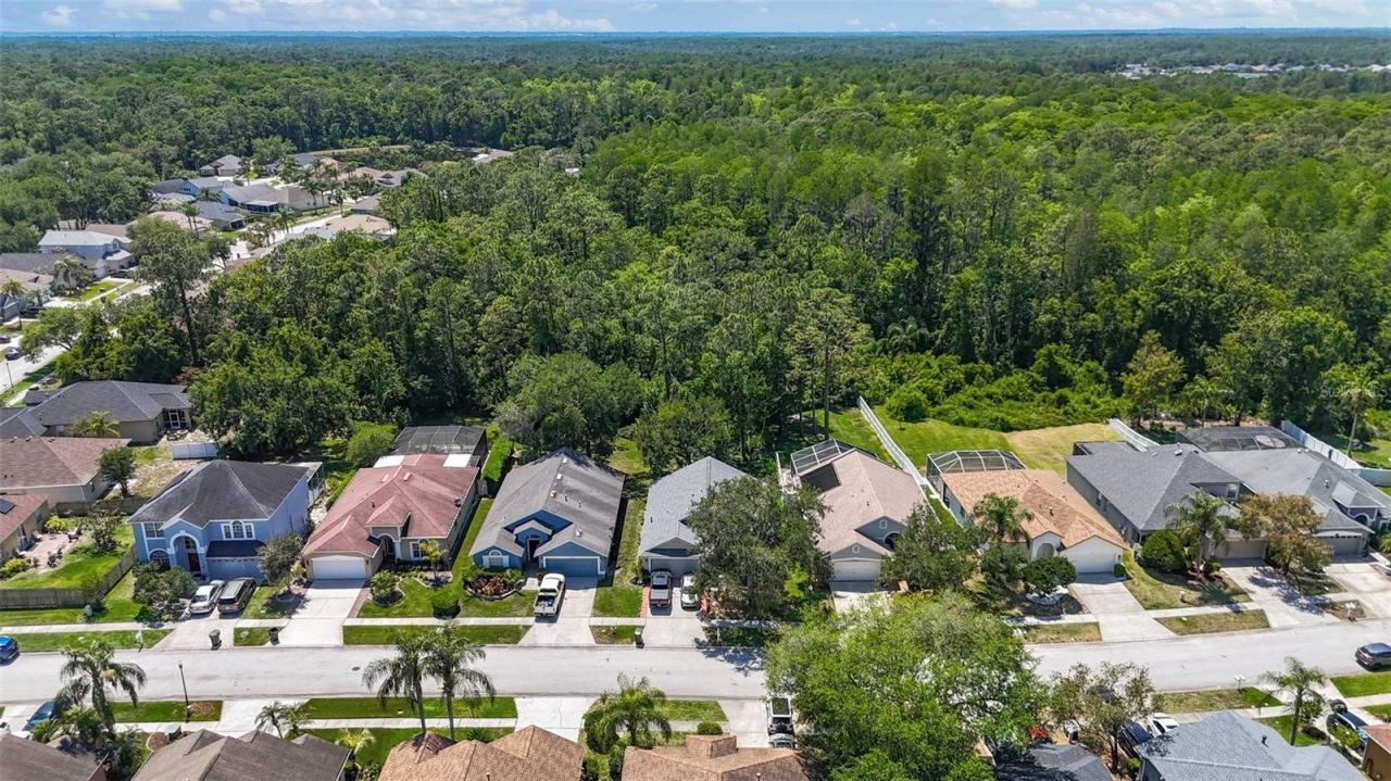14524 Weeping Elm Drive, Tampa, FL 33626 Photo