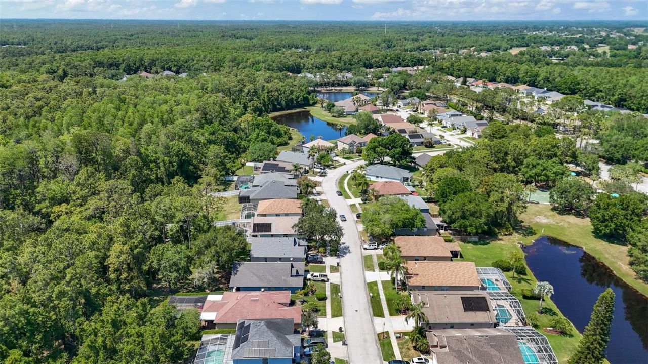 14524 Weeping Elm Drive, Tampa, FL 33626 Photo