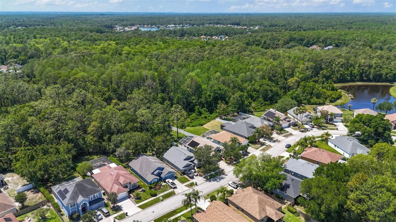 14524 Weeping Elm Drive, Tampa, FL 33626 Photo