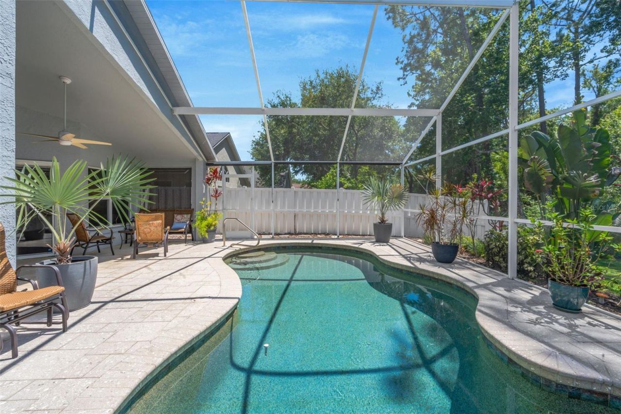 14524 Weeping Elm Drive, Tampa, FL 33626 Photo