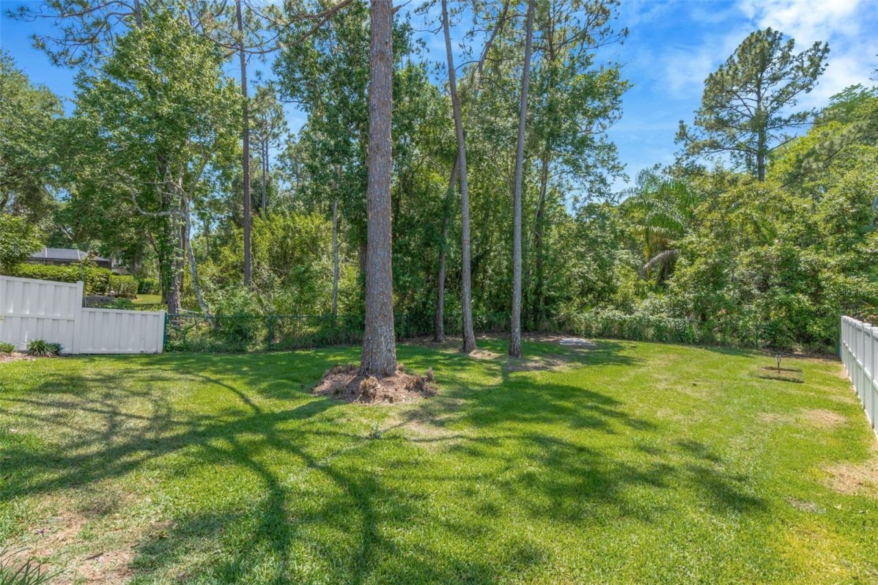 14524 Weeping Elm Drive, Tampa, FL 33626 Photo