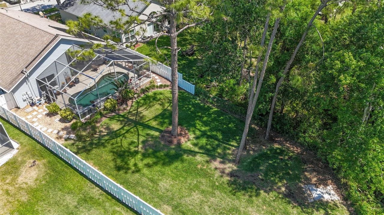 14524 Weeping Elm Drive, Tampa, FL 33626 Photo