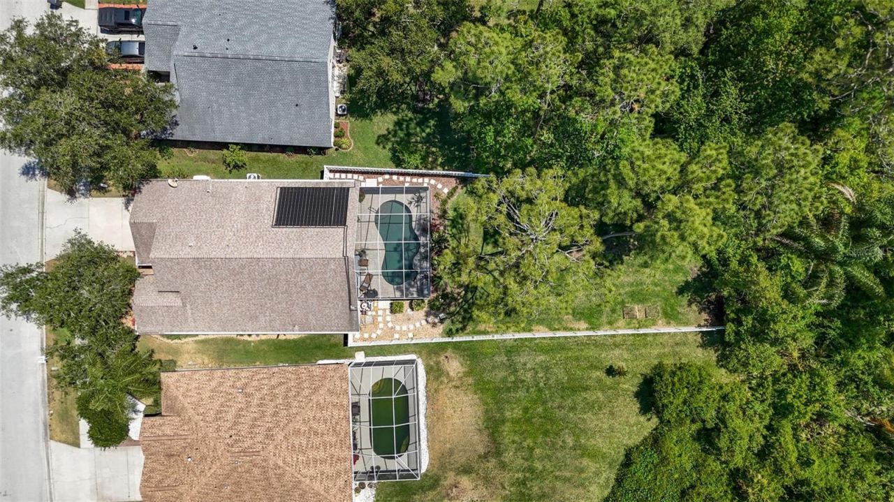 14524 Weeping Elm Drive, Tampa, FL 33626 Photo