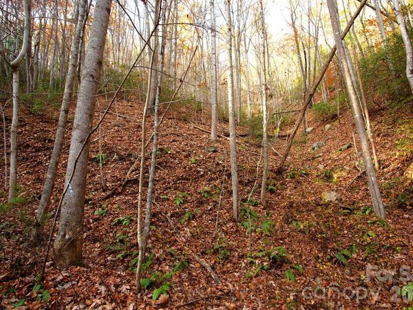 TBD Rector Branch Road , Marshall, NC 28743