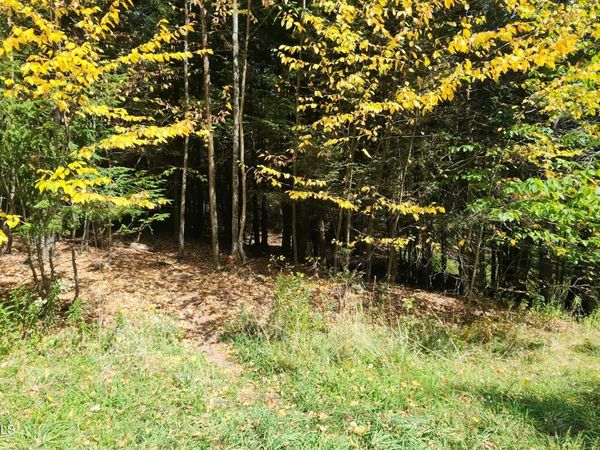 128 Brittany Hill Road, Jewett, NY 12444