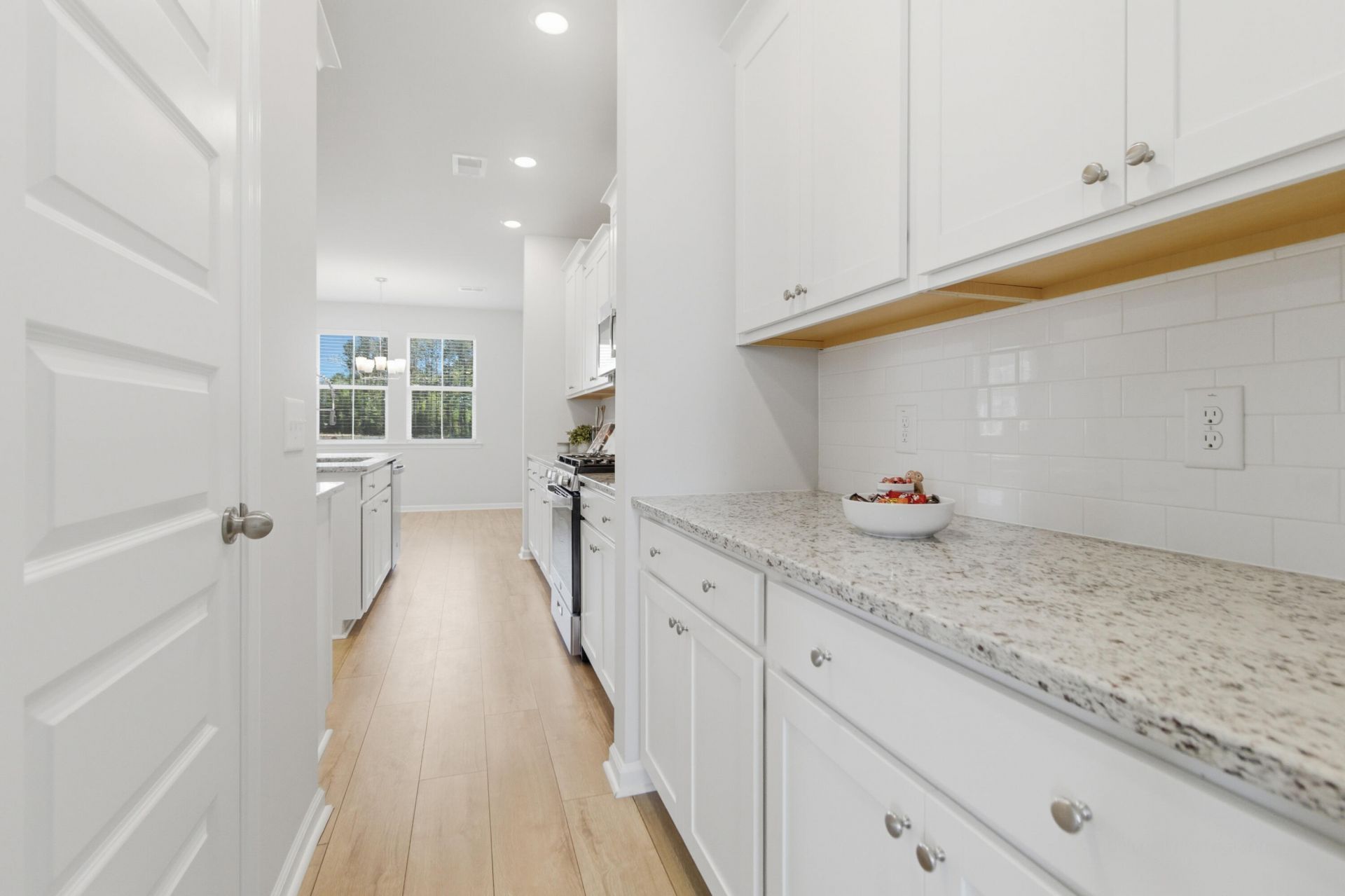 1123 Fitzgerald Court Photo 16