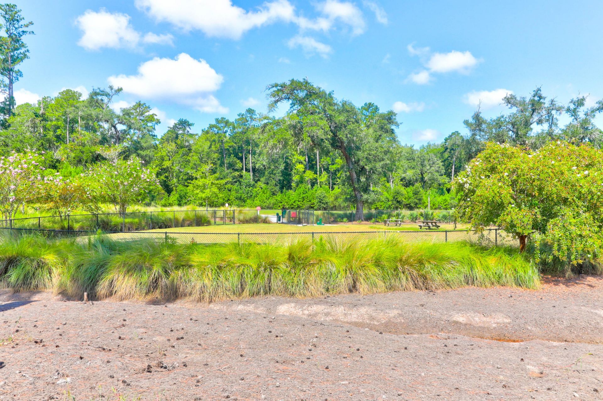 1123 Fitzgerald Court Photo 48