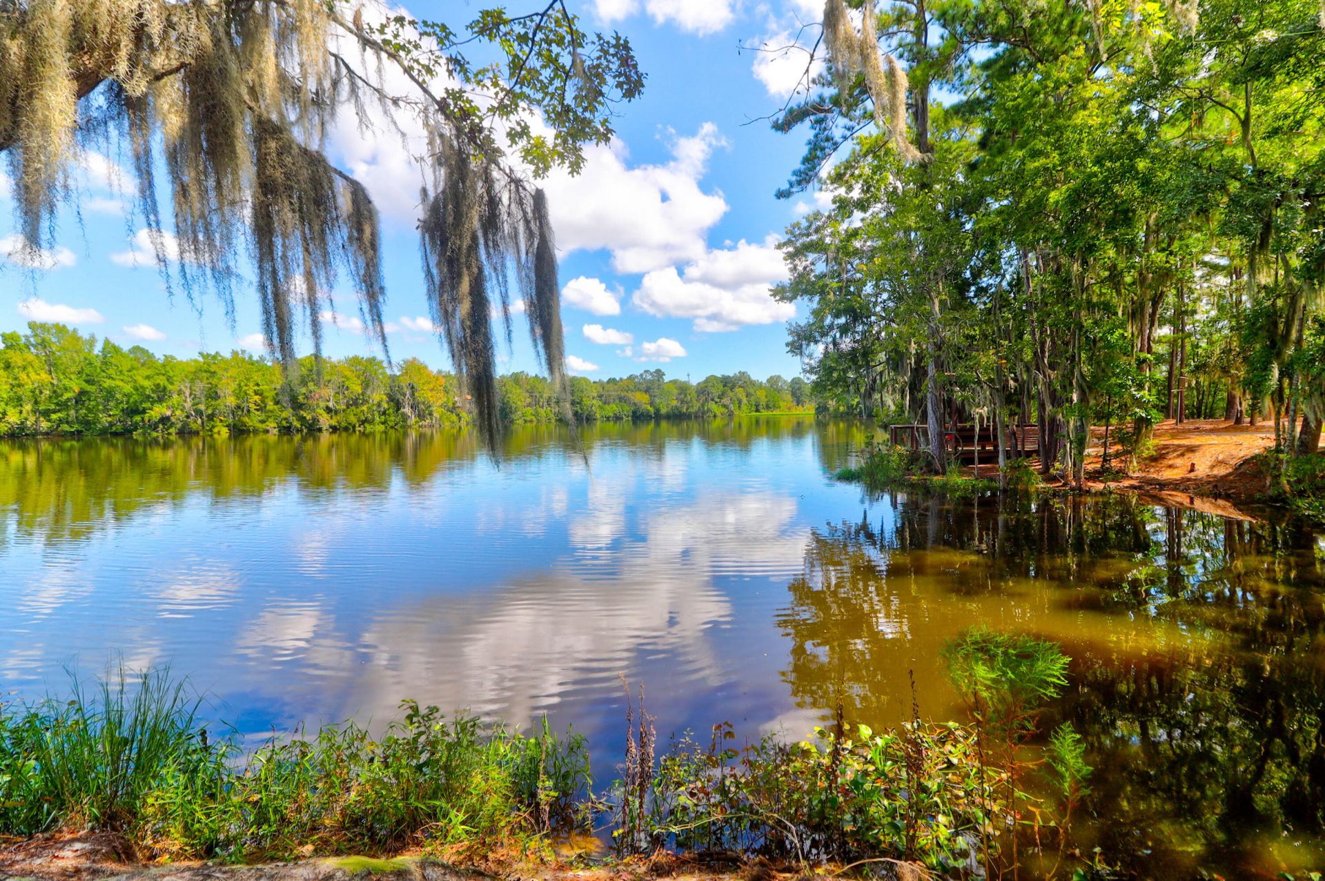 1123 Fitzgerald Court Photo 56