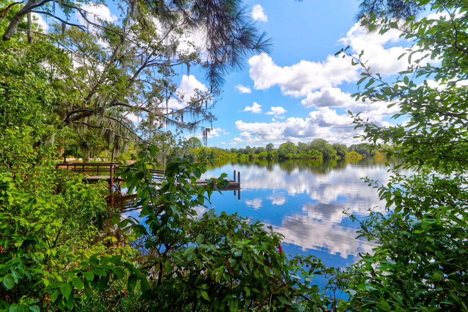 1123 Fitzgerald Court Photo 58