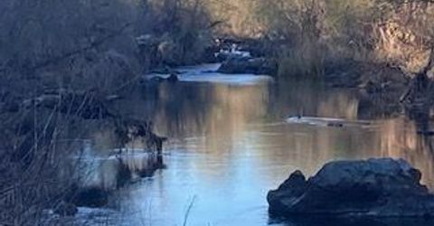 6647 Cane Ln, Valley Springs, CA 95252 Photo