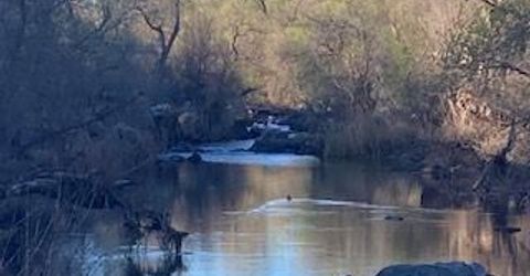 6647 Cane Ln, Valley Springs, CA 95252 Photo