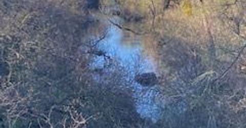 6647 Cane Ln, Valley Springs, CA 95252 Photo