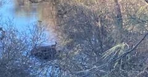 6647 Cane Ln, Valley Springs, CA 95252 Photo