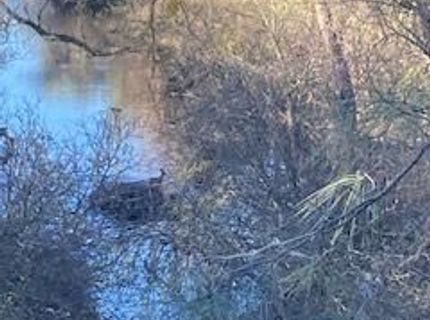 6647 Cane Ln, Valley Springs, CA 95252 Photo