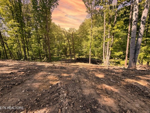 839 Josana Lane, New Market, TN 37820