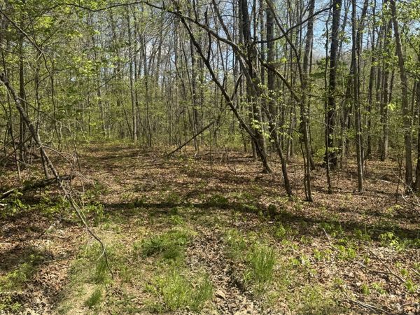 0 Doe Creek Lake Dr , Sparta, TN 38583