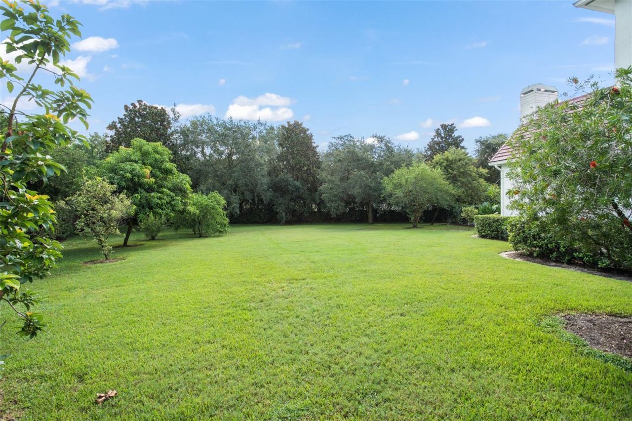 9011 Pinnacle Circle, Windermere, FL 34786 Photo