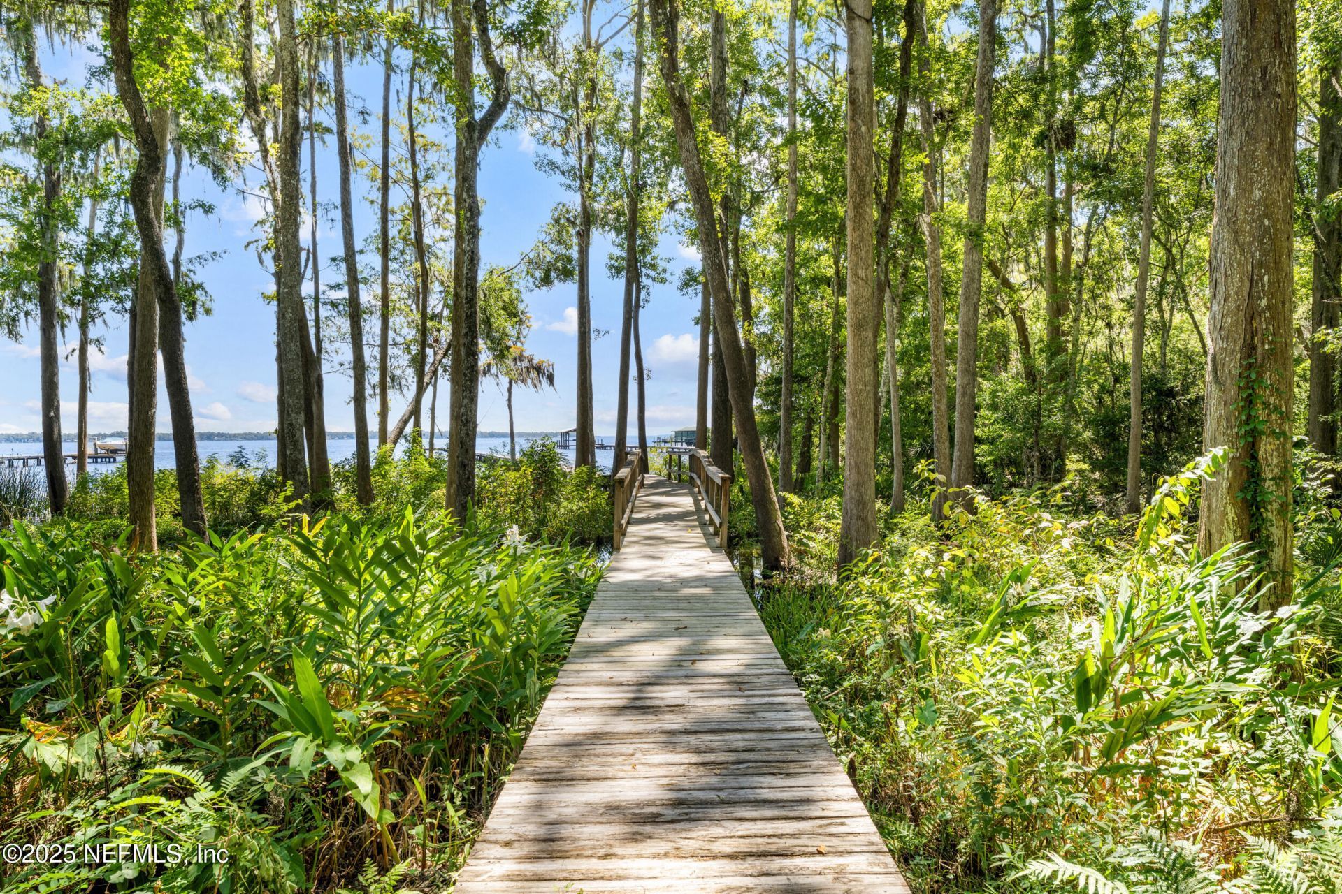 686 Frederic Drive, Fleming Island, FL 32003 Photo