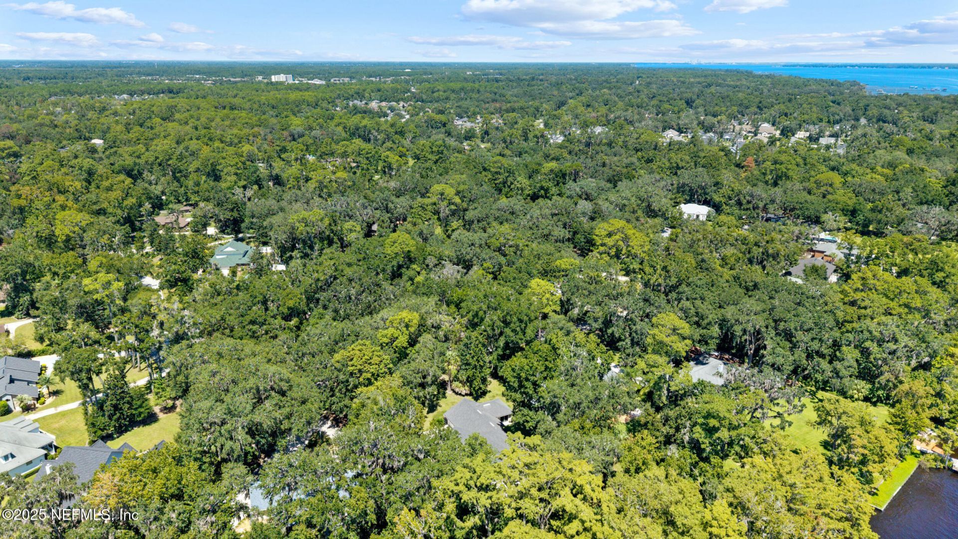 686 Frederic Drive, Fleming Island, FL 32003 Photo