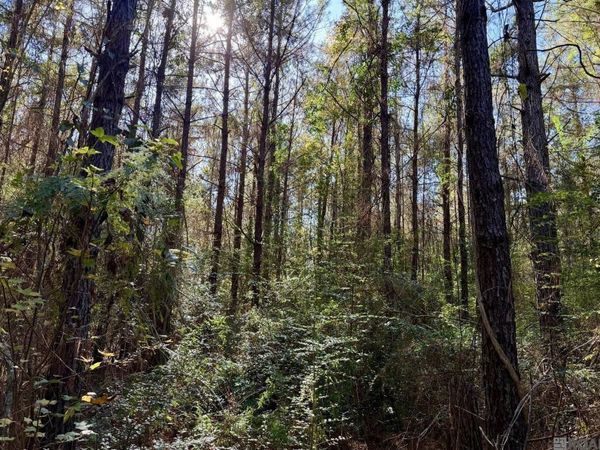 25 Bobcat Lane, Amite, LA 70442