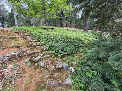 18110 Alexandra Way, Grass Valley, CA 95949 Photo