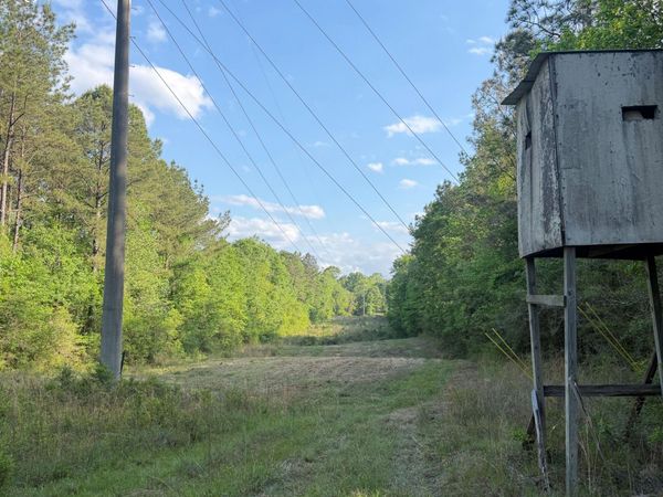 Titus Stewart Road, Hattiesburg, MS 39401