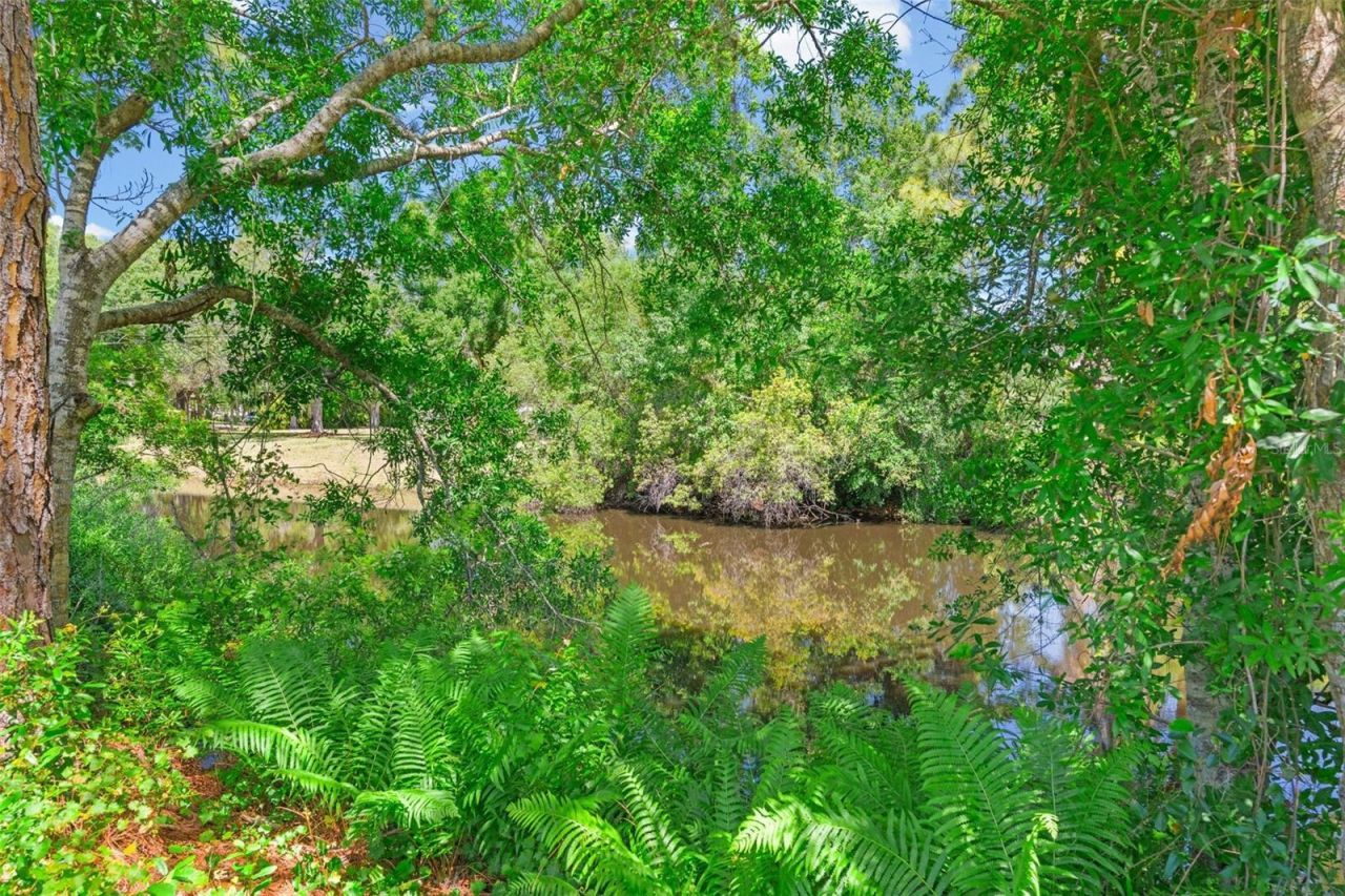 7605 Richardson Road, Sarasota, FL 34240 Photo