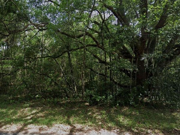 3958 E RYAN STREET , INVERNESS, FL 34453