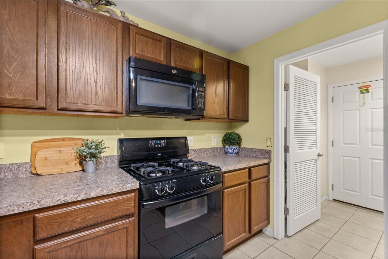 26921 White Plains Way, Leesburg, FL 34748 Photo