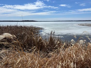 18196 N Blackduck Lake Road NE, Hines, MN 56647