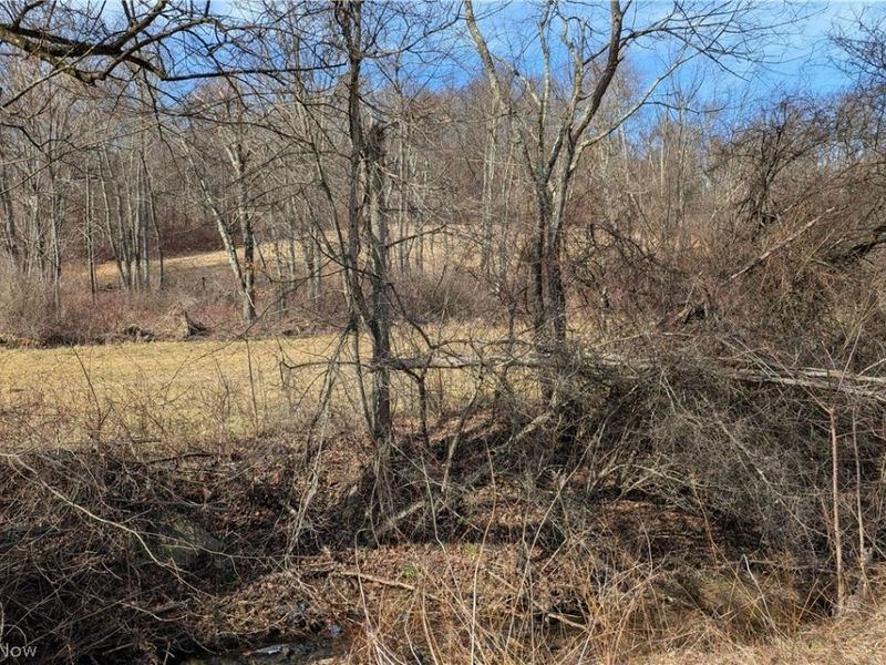 Stonecreek Road, Newcomerstown, OH 43840 Photo 2