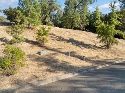 3335 Morel Way, Placerville, CA 95667 Photo