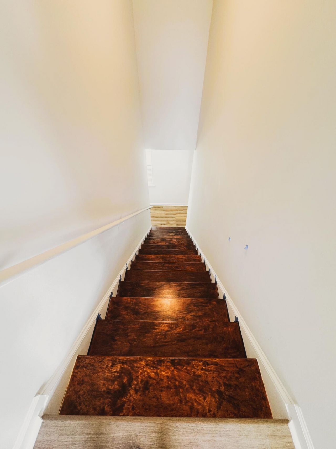 111 Akeley Lane Photo 11