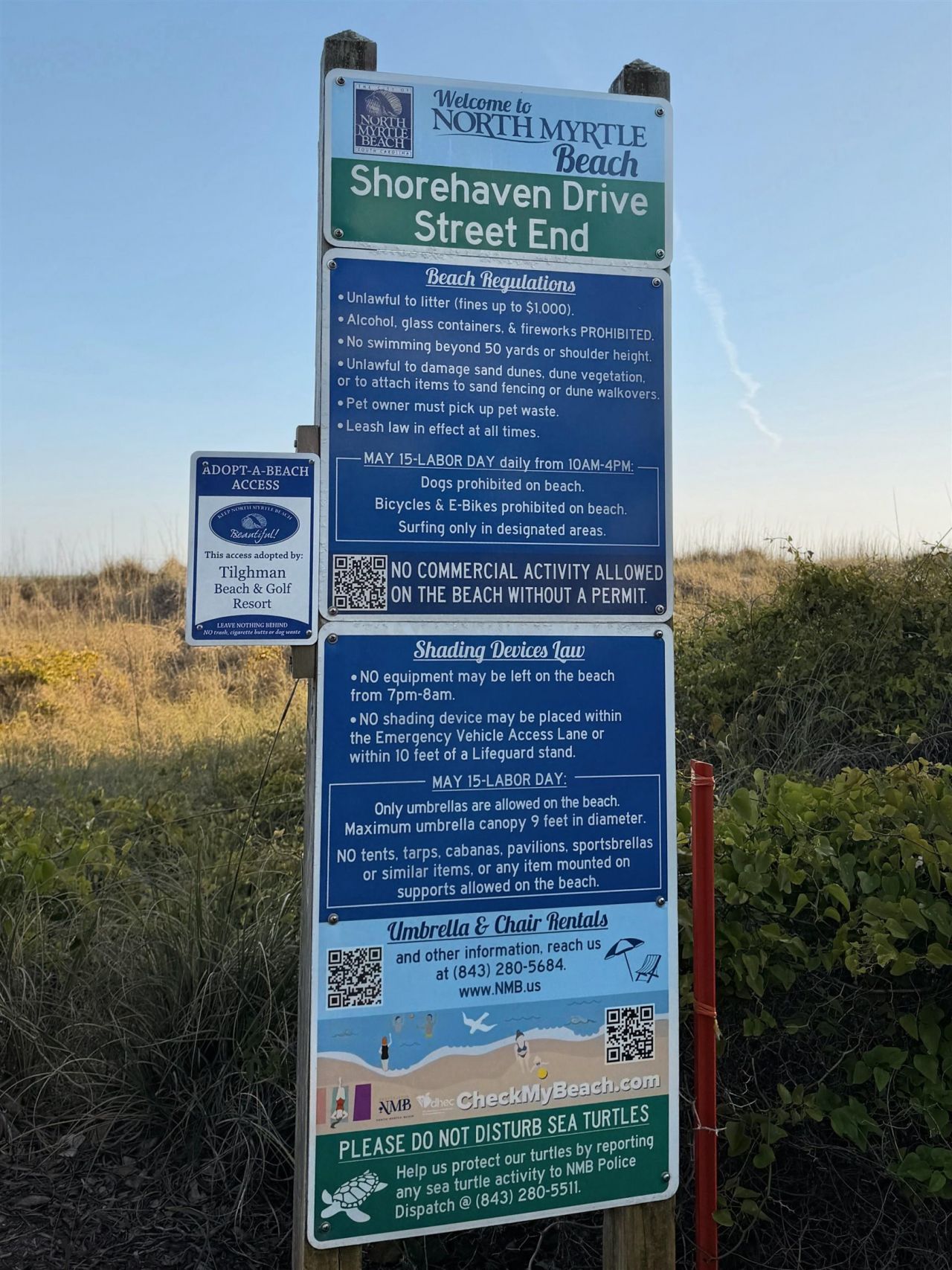 301 Shorehaven Dr.  Photo 7