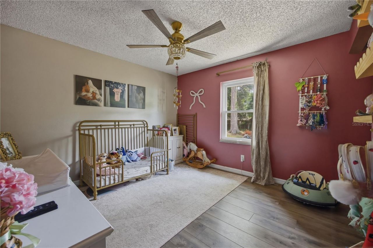 4240 NE 132nd Place, Anthony, FL 32617 Photo