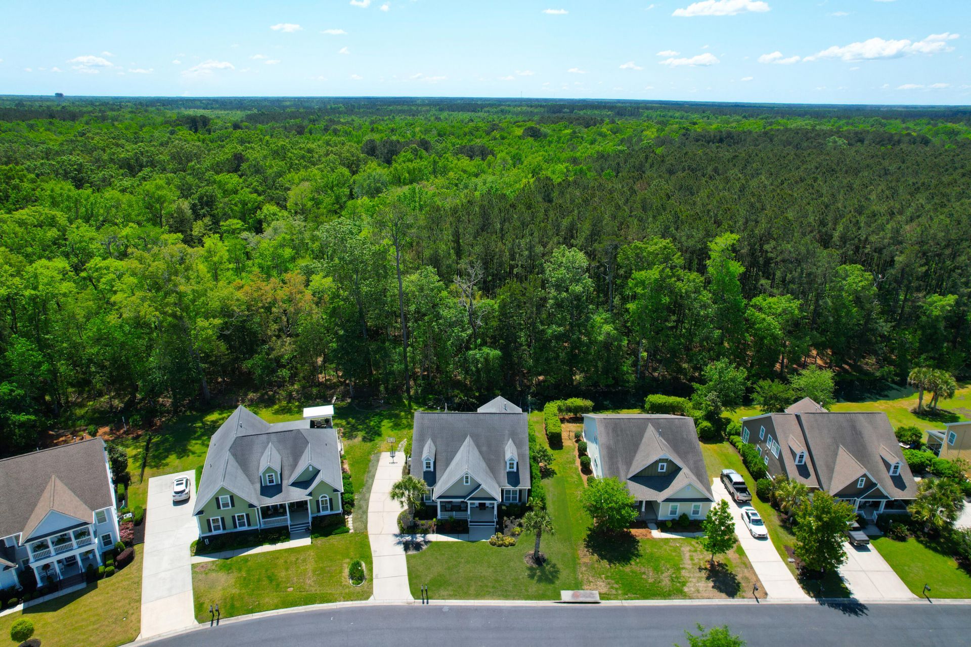 252 Silver Cypress Circle Photo 100