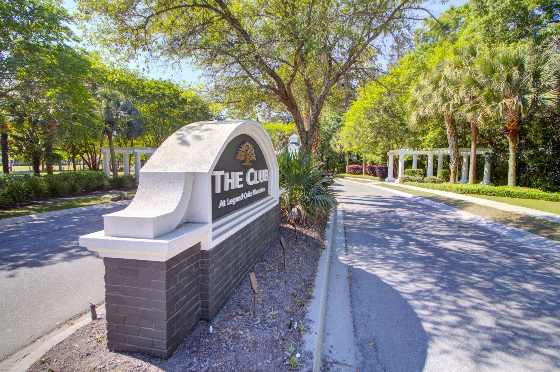 252 Silver Cypress Circle Photo 110