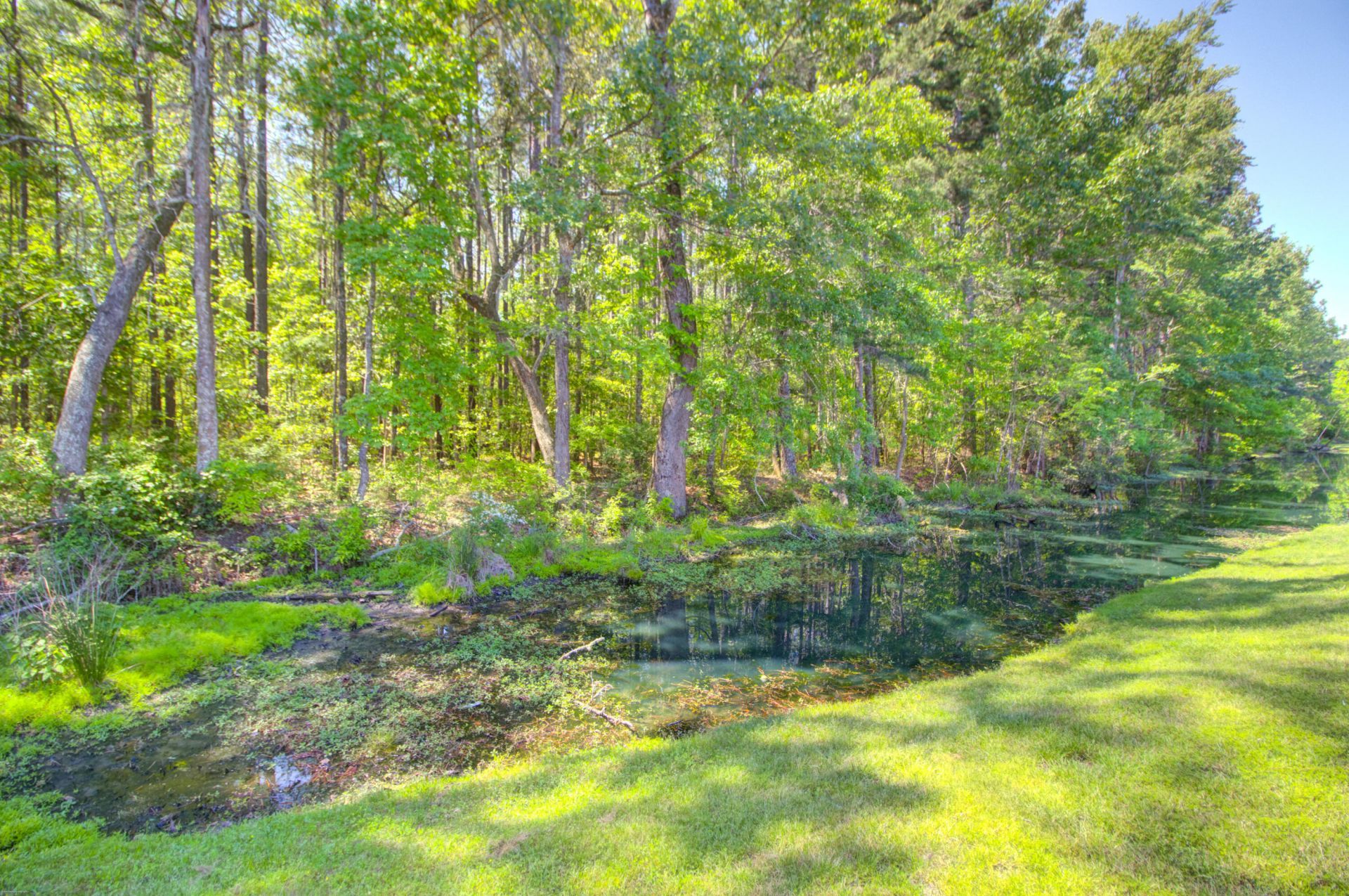 252 Silver Cypress Circle Photo 89