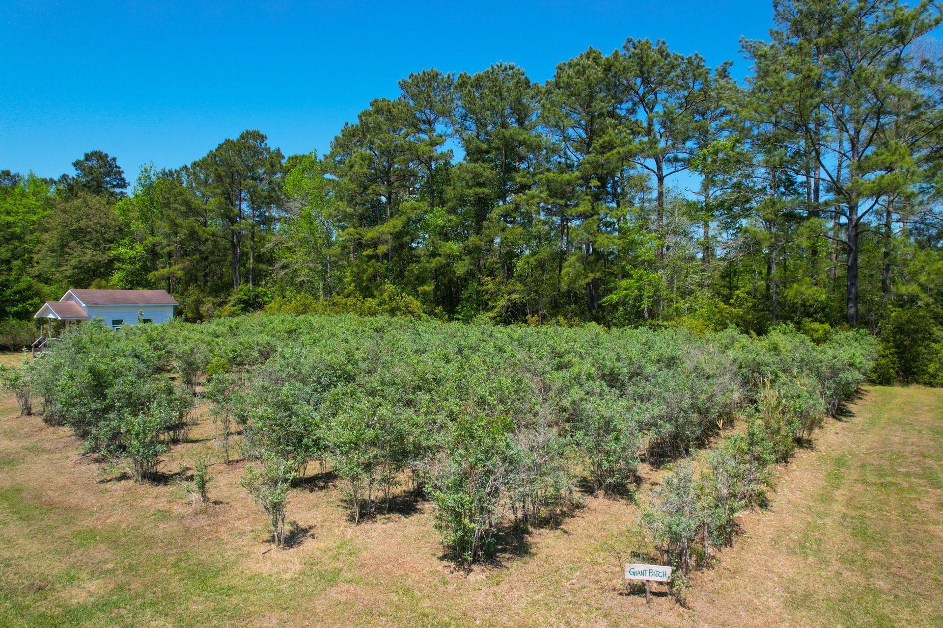 9760 Randall Road Photo 16