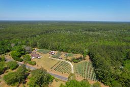 9760 Randall Road photo 4