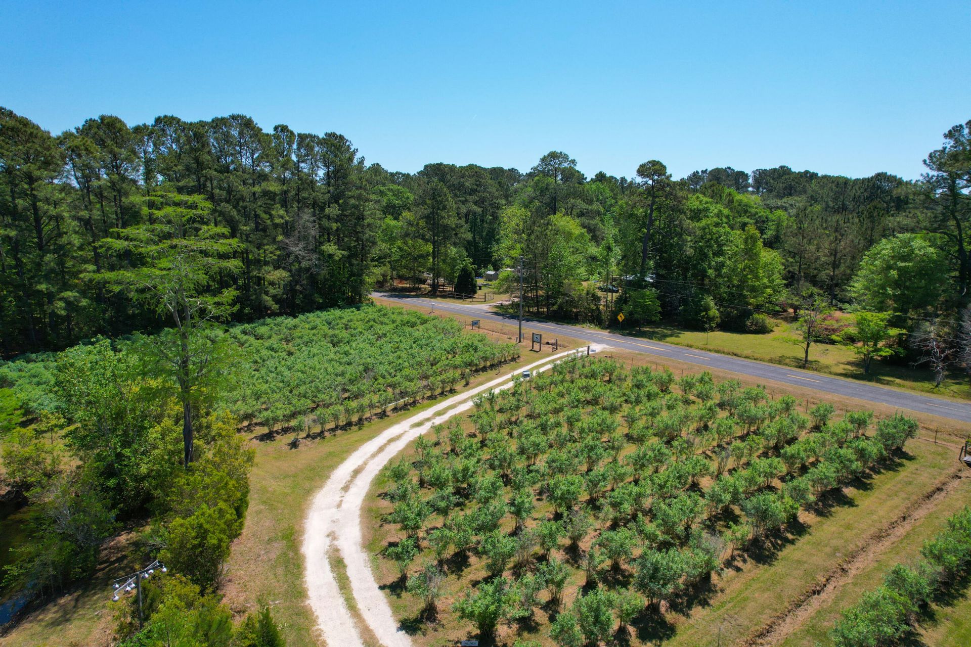 9760 Randall Road Photo 20