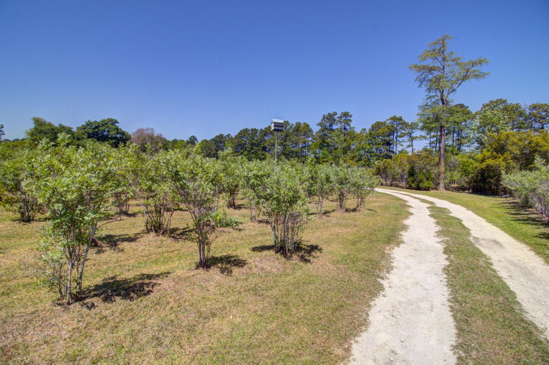 9760 Randall Road Photo 54