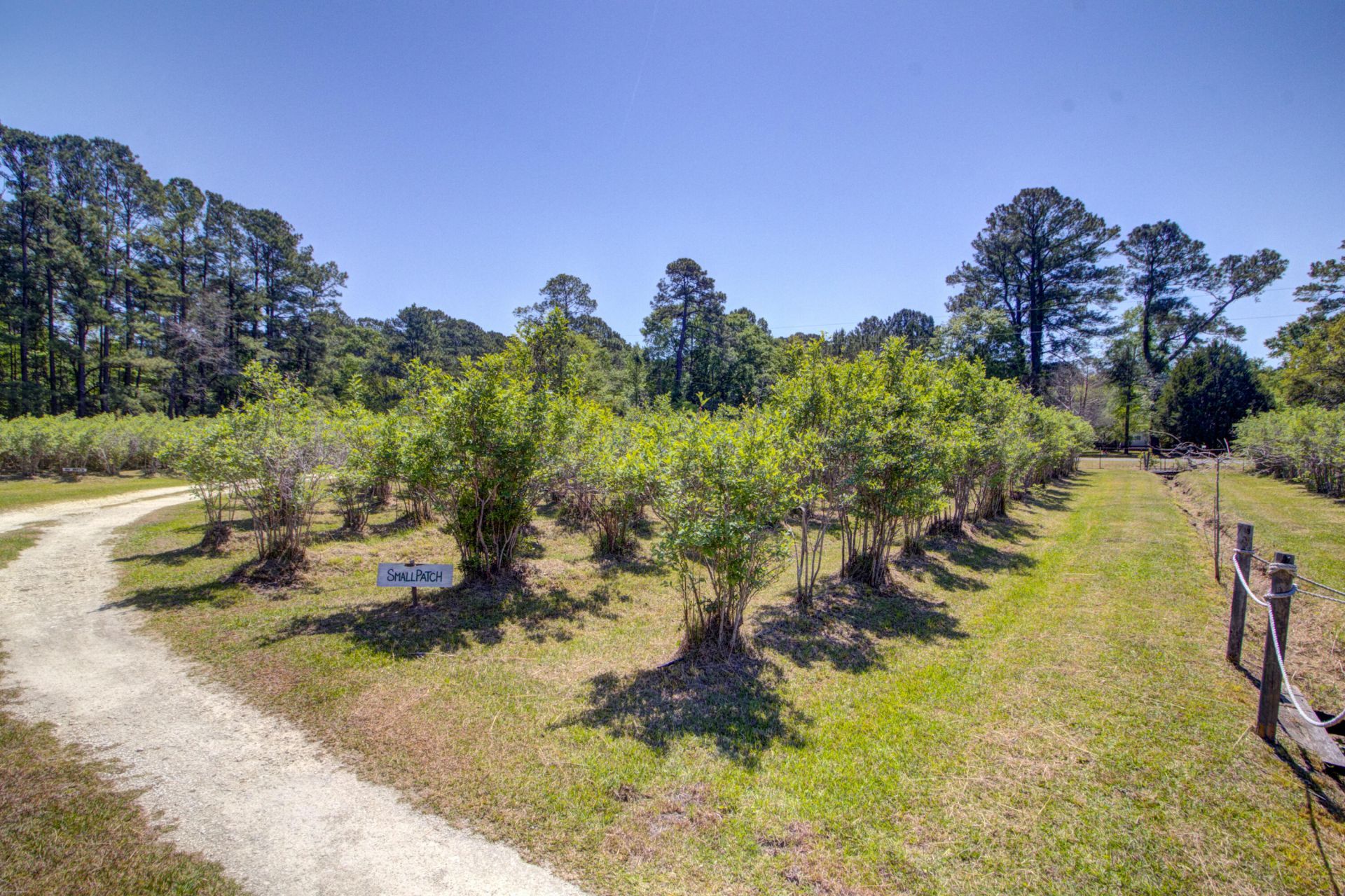 9760 Randall Road Photo 85