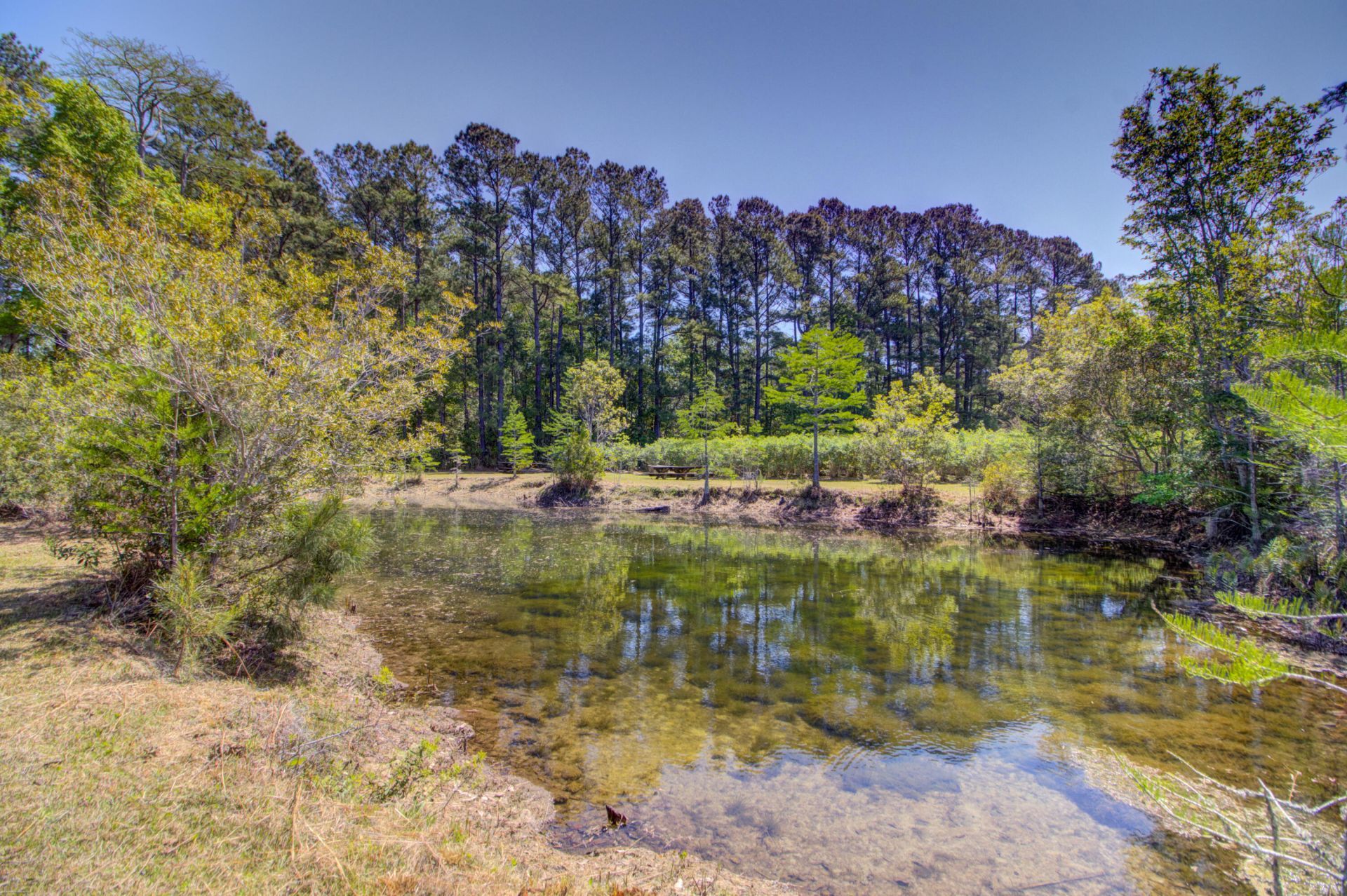 9760 Randall Road Photo 91