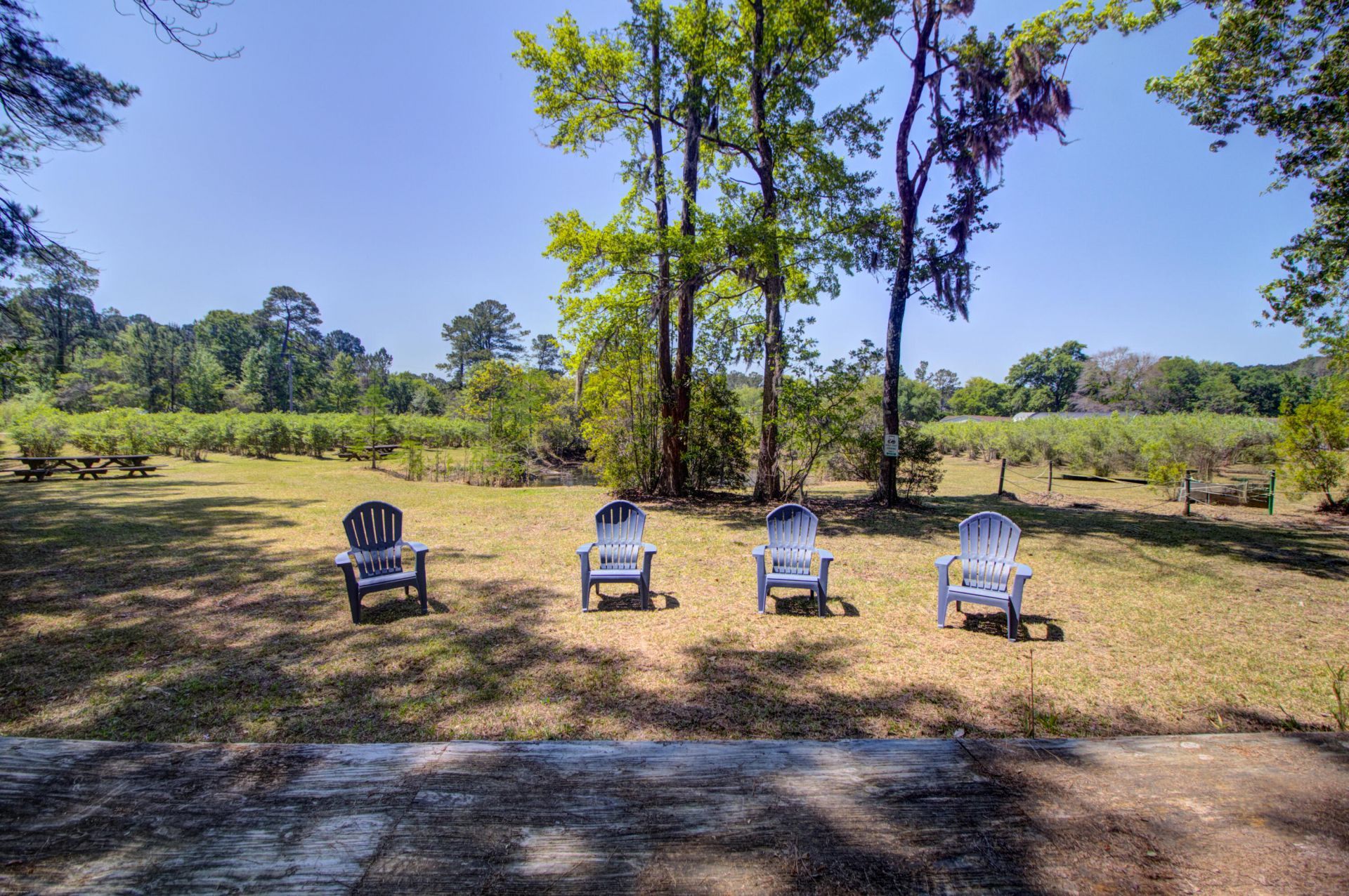 9760 Randall Road Photo 95