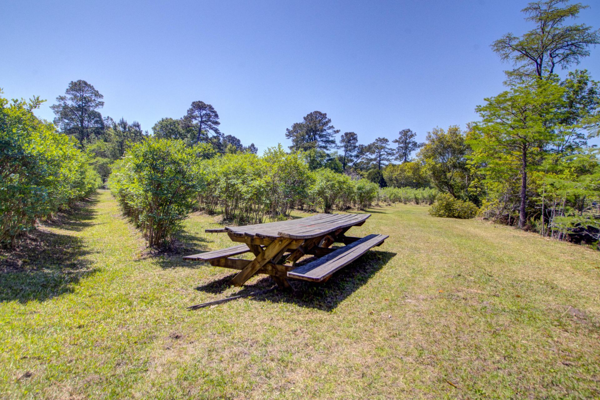 9760 Randall Road Photo 96