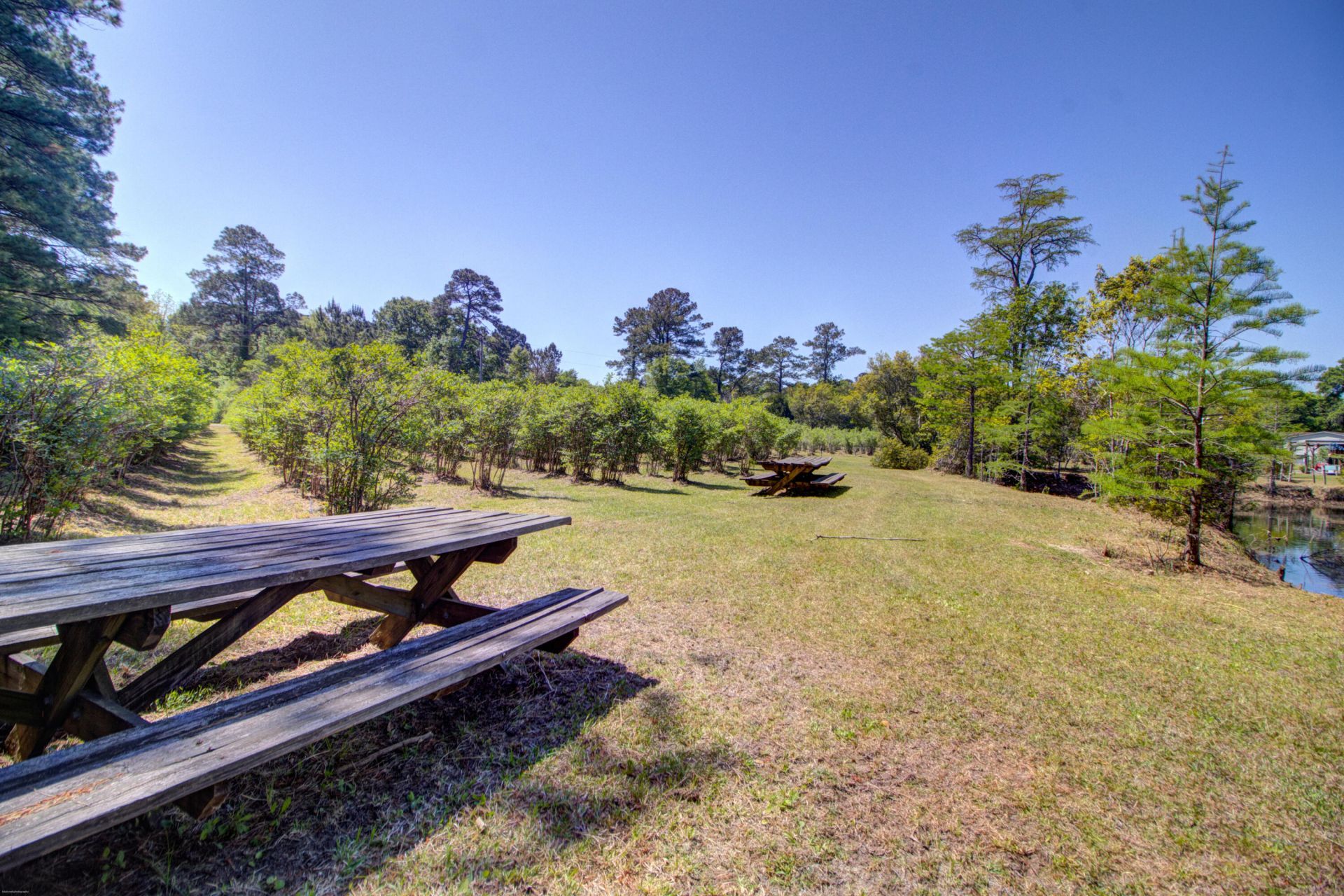 9760 Randall Road Photo 97