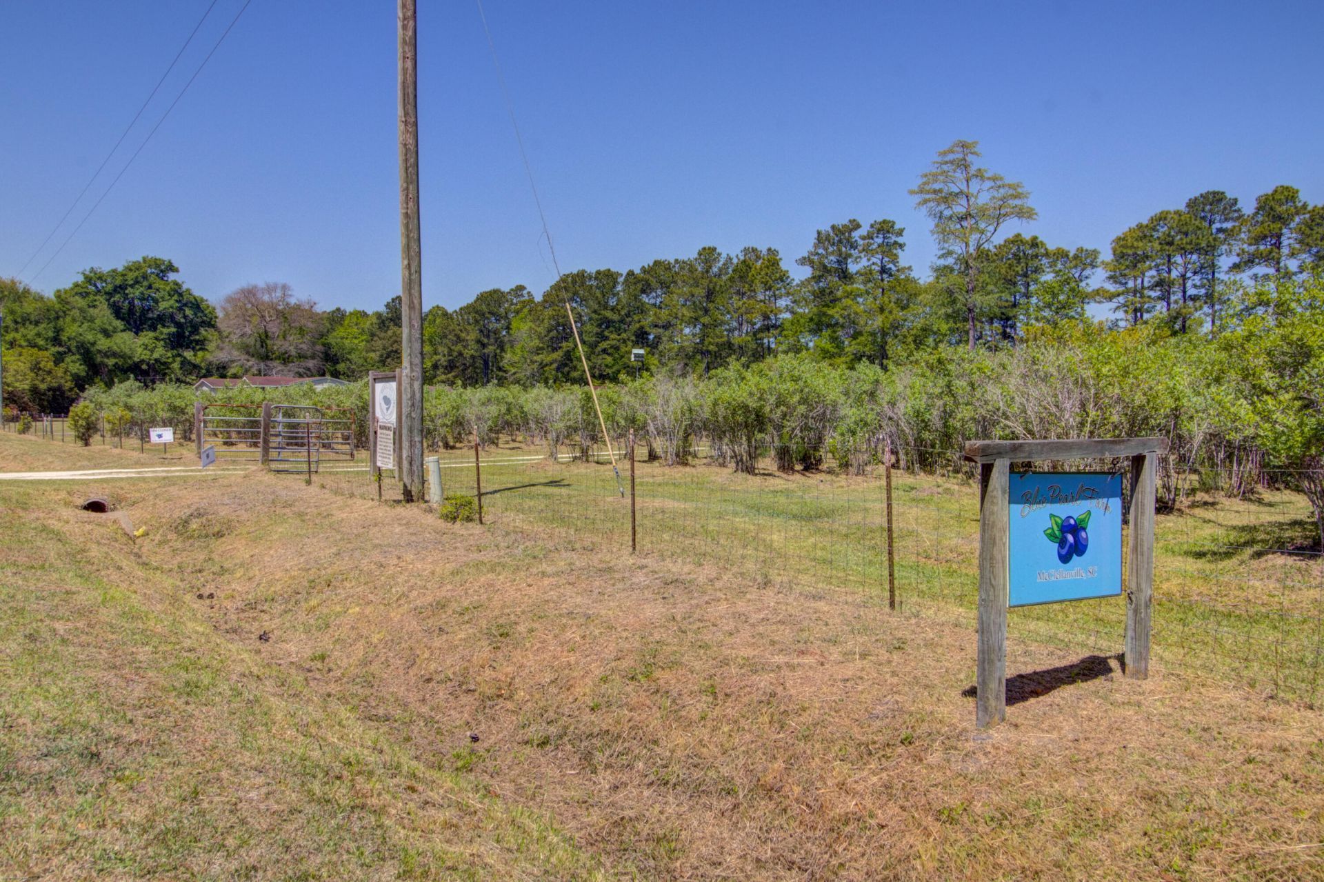 9760 Randall Road Photo 98