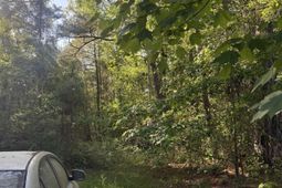 290 Highway 57 S.  photo 4