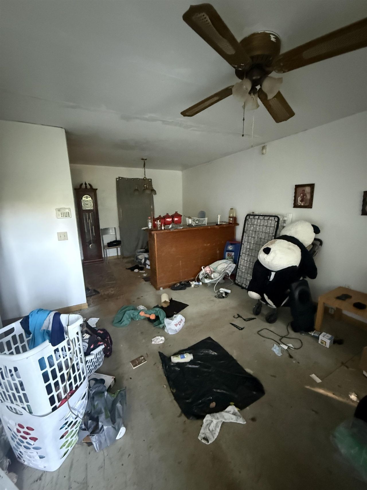 290 Highway 57 S.  Photo 4